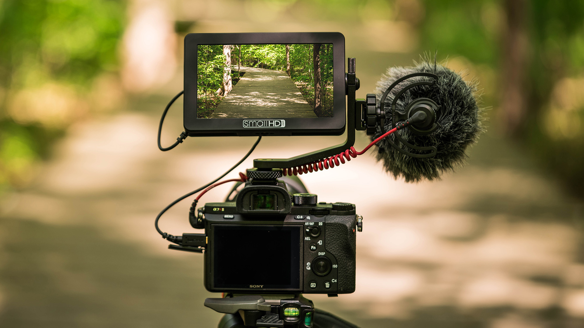 SmallHD Focus