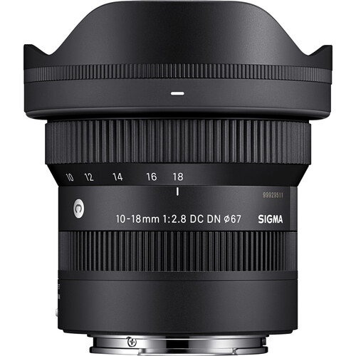 Wide-angle zoom lens with petal hood