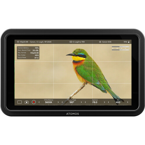 Atomos Shinobi II showing display with monitoring tools active