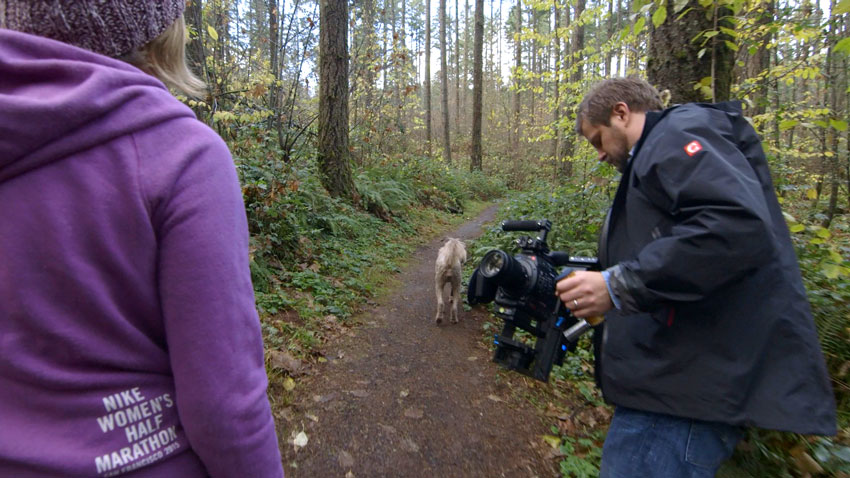 dslr-gimbal-walking-in-front-of-subject