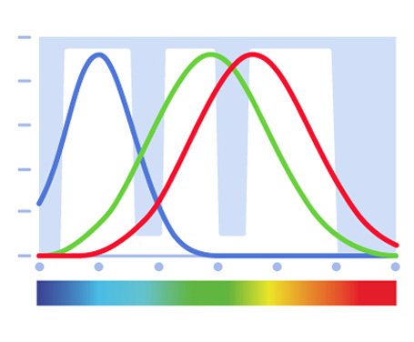 enchroma-wavelengths