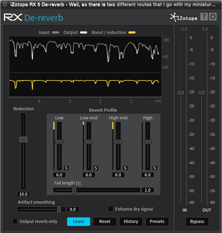 Izotope De Reverb