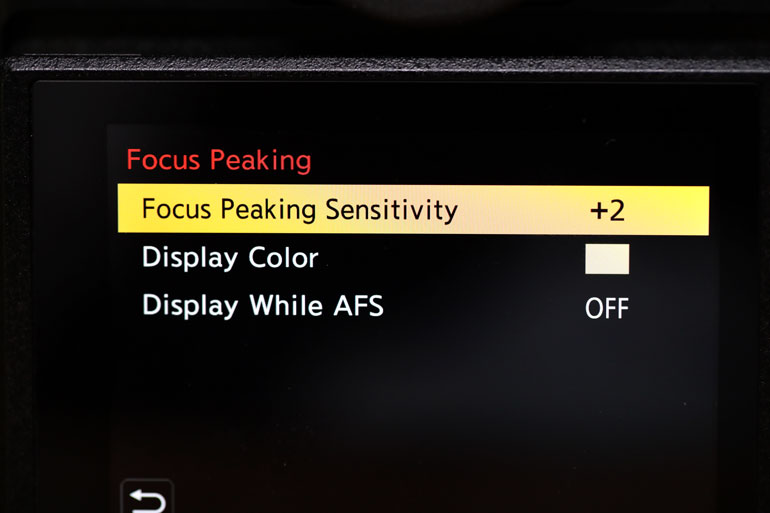 panasonic-s1-mirrorless-camera-focus-peaking-sensitivity