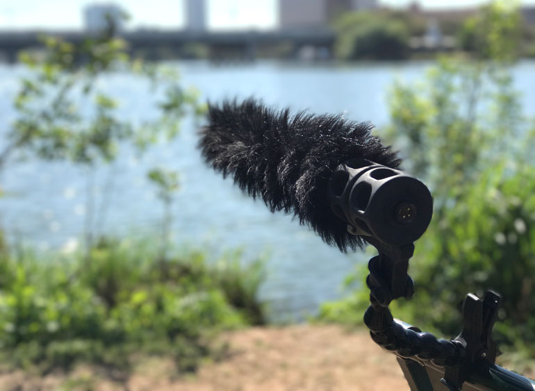 rode-sm8-mic-shock-mount