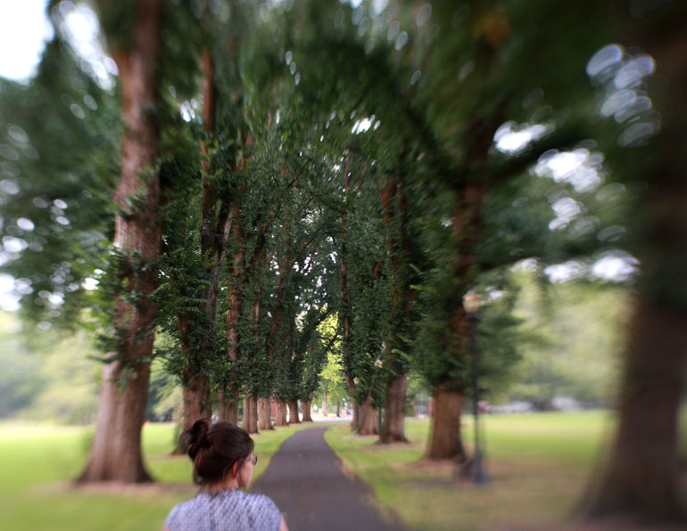 oregon state university path