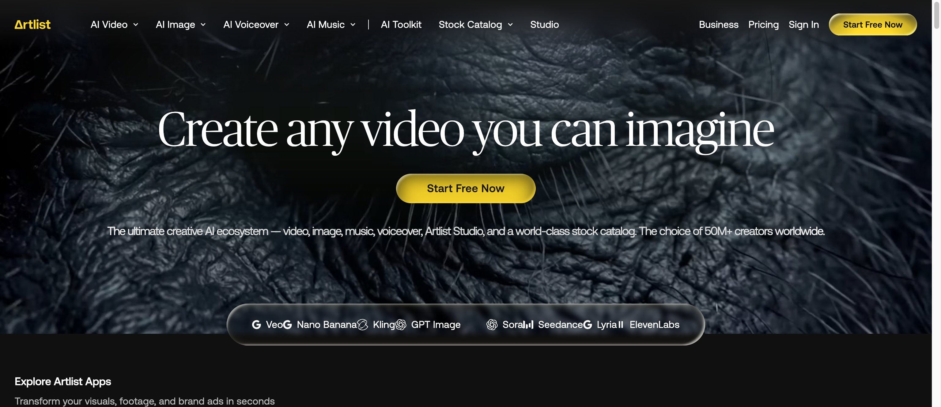Artlist creative tools and music platform for video creators